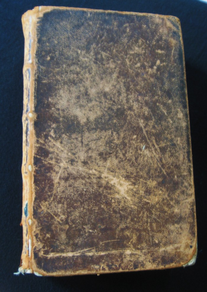 Susannah's Bible