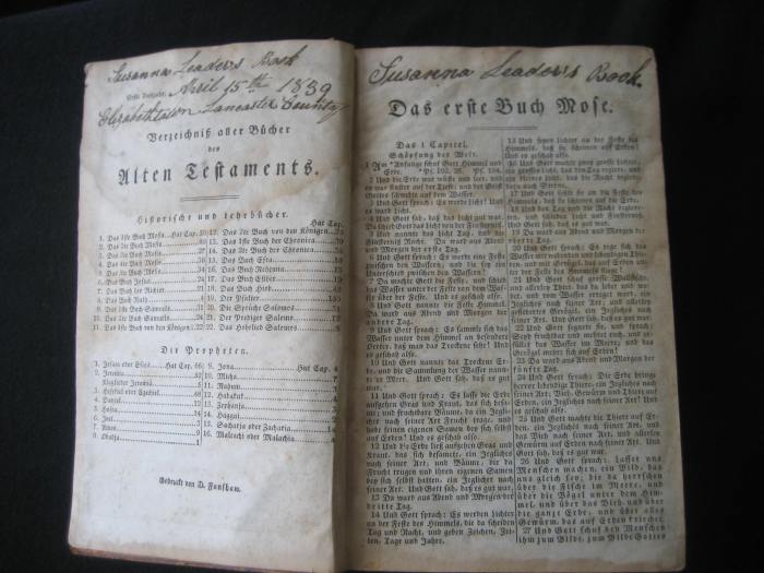 Genisis I, Susannah's Bible